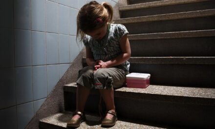 المنظمة الدولية لحقوق الأطفال: هولندا تنتهك حقوق الأطفال الأساسية