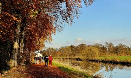 طقس معتدل مع درجات حرارة مرتفعة في الأيام القادمة: ولكن إلى متى سيستمر ذلك؟