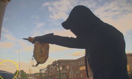 كلب يطارد لص ويمنعه من سرقة صاحبه أمام الصراف الألي في بربانت