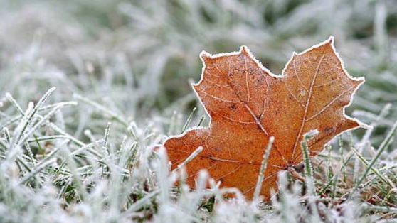 سيصبح الطقس أكثر برودة في كل مكان هذا الأسبوع مع احتمال وصول درجات الحرارة إلى 5 درجات تحت الصفر