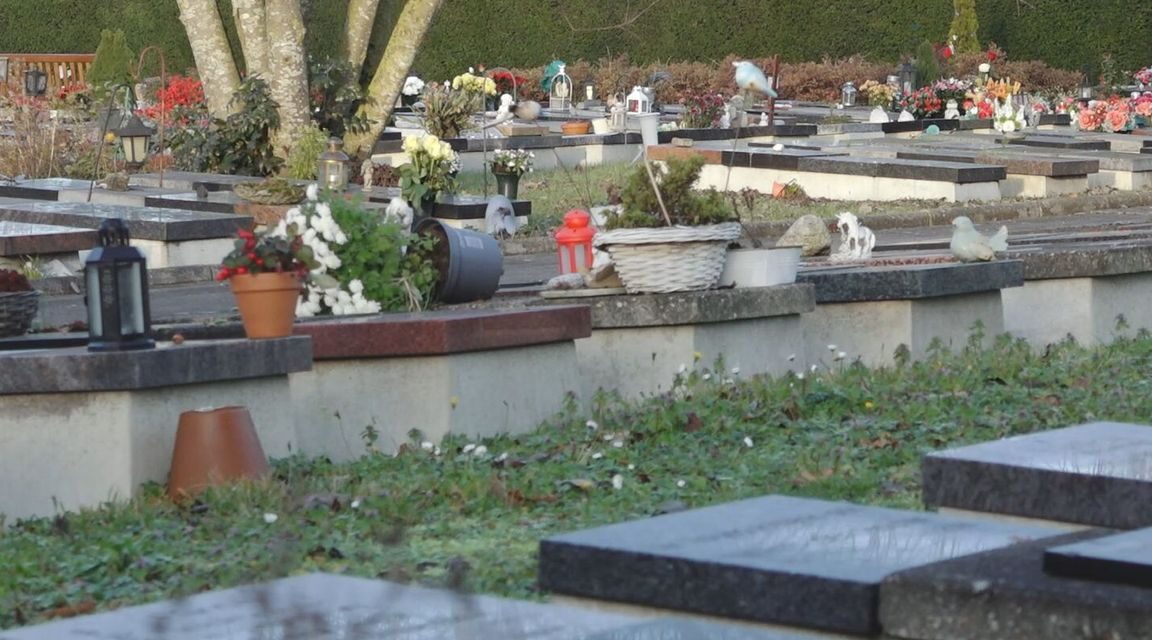 دهشة بعد تأكيد حصول تجارب سرية على جثث الموتى في مقبرة دوردريخت: “صادم ومؤلم”