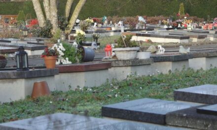 دهشة بعد تأكيد حصول تجارب سرية على جثث الموتى في مقبرة دوردريخت: “صادم ومؤلم”