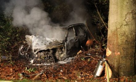 وفاة شخصان في حادث سير بإرميلو: سيارة اصطدمت بشجرة واحترقت بالكامل