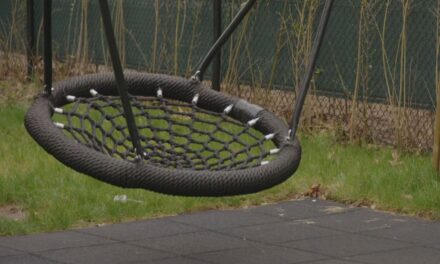 الشرطة تُخرِج خمسة أطفال من منزل عائلة حاضنة في جنوب هولندا للاشتباه في تعرضهم للإيذاء