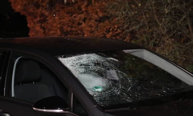 فتاة (21 عامًا) تلقى حتفها إثر صدمها بسيارة في إيدي: السائقة واصلت القيادة