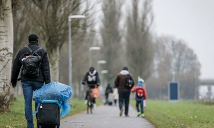 وافقت دائرة الهجرة والتجنيس على عدد أقل بكثير من طلبات اللجوء هذا العام مقارنة بالعام الماضي