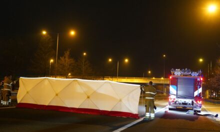 مقتل شاب يبلغ من العمر 17 عامًا من روزمالين دهسًا على الطريق السريع A2