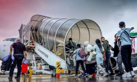 العودة الطوعية إلى سوريا: “أشعر بندم شديد، كان من الأفضل لي البقاء في هولندا”