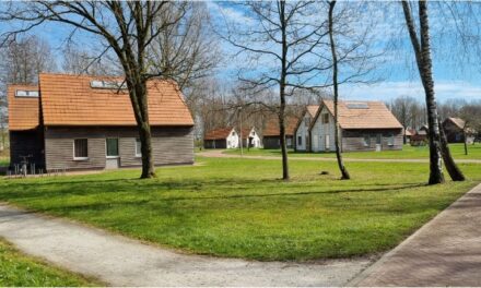 القبض على قادم حديثاً إلى هولندا في مركز لجوء درونتن بتهمة التخطيط لهجوم إرهابي