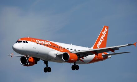 رحلة طيران تتسبب بغضب عارم: يشتبه الركاب في أن امرأة مسنة كانت ميتة بالفعل عند صعودها إلى الطائرة