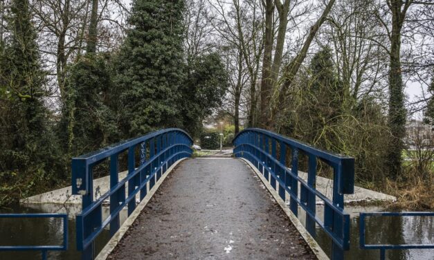 اعتقال شخص بتهمة قتل شابين سوريين بالرصاص في يوم رأس السنة الجديدة في أمستردام