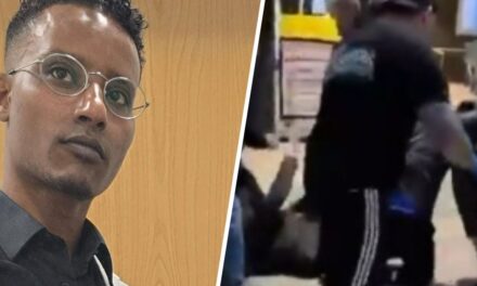 محمد يتغلب على مهاجم يحمل فأسًا في مركز التسوق بمدينة نيميخن: “كان عليّ التدخل”