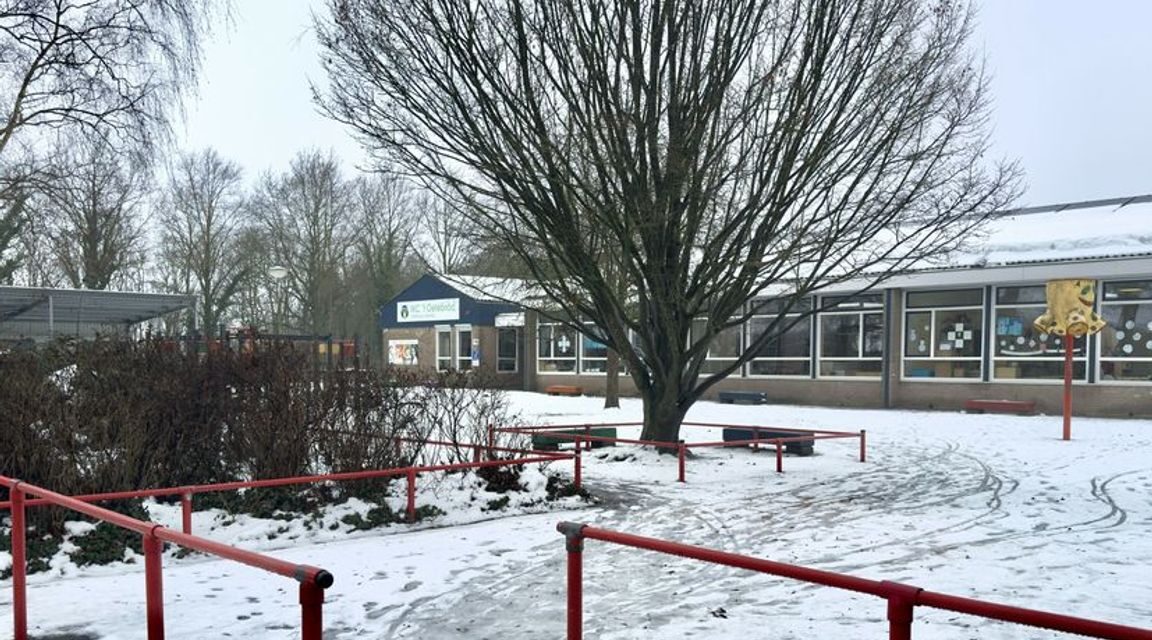 إغلاق مدرسة إبتدائية في درينتي بعد رصد محتمل لذئب بالقرب منها