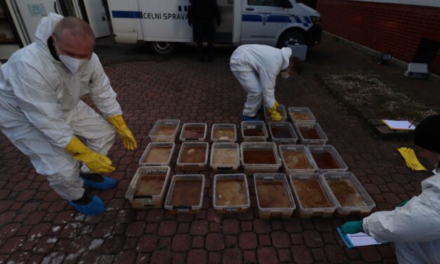 الشرطة الهولندية تشارك في تفكيك عصابة مخدرات: “أكبر عملية على الإطلاق”