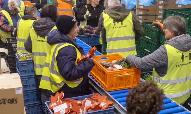 بعد سنوات من التراجع: بدأ عدد العاملين الفقراء في الارتفاع مرة أخرى