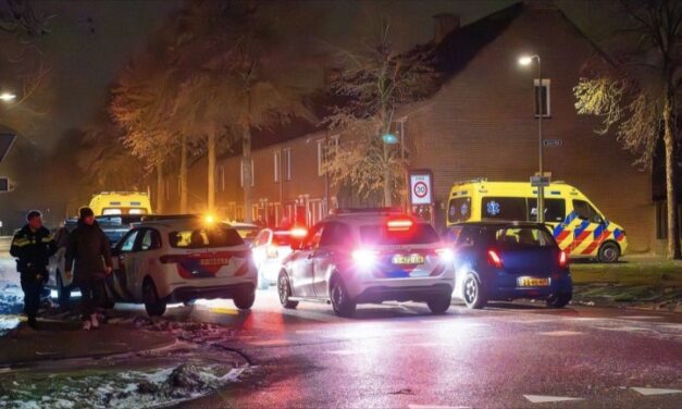 وفاة كلبين في حادث دهس في أوس وقد تأثر صاحبهما وتوفي بعد وقت قصير