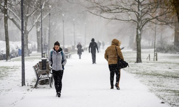بدءاً من صباح غداً: إصدار تحذير من الطقس بسبب احتمال تساقط الثلوج والطرقات الزلقة