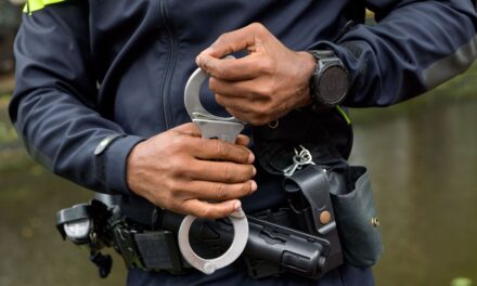 اعتقال ستة عشر شخصاً بينهم 13 قادم حديثاً بتهمة نشر دعاية تنظيم الدولة الإسلامية