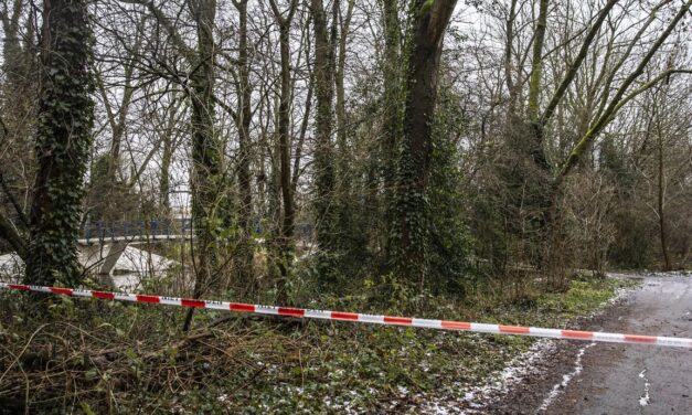 الشرطة: يحتمل أن المراهقان السوريان قد قتلا في حديقة بأمستردام بشكل عشوائي