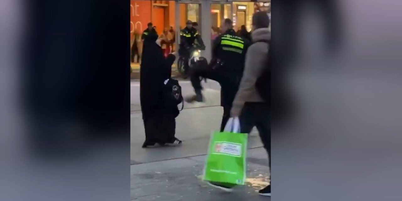 قائد الشرطة: الضابط تجاوز الحد بركل المرأة أثناء عملية الاعتقال في أوتريخت