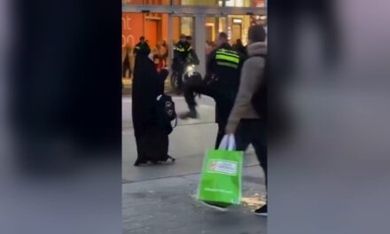 قائد الشرطة: الضابط تجاوز الحد بركل المرأة أثناء عملية الاعتقال في أوتريخت