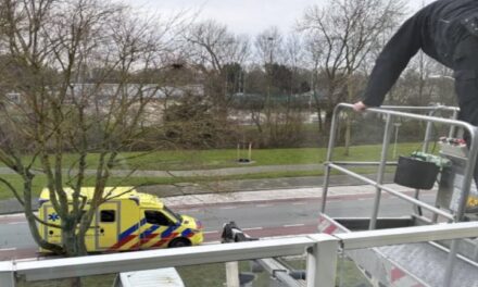 يرى عامل تنظيف النوافذ امرأة مصابة ملقاة في المنزل فيهرع لمساعدتها