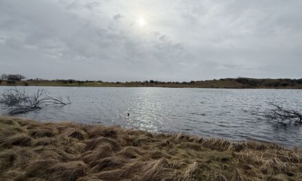 المزيد من الرياح والأمطار مع اقتراب نهاية الأسبوع: صباح غداً الجمعة سيكون الطقس عاصفاً للغاية