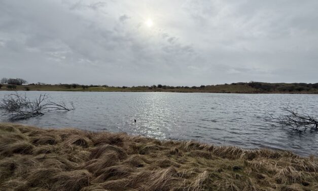 المزيد من الرياح والأمطار مع اقتراب نهاية الأسبوع: صباح غداً الجمعة سيكون الطقس عاصفاً للغاية