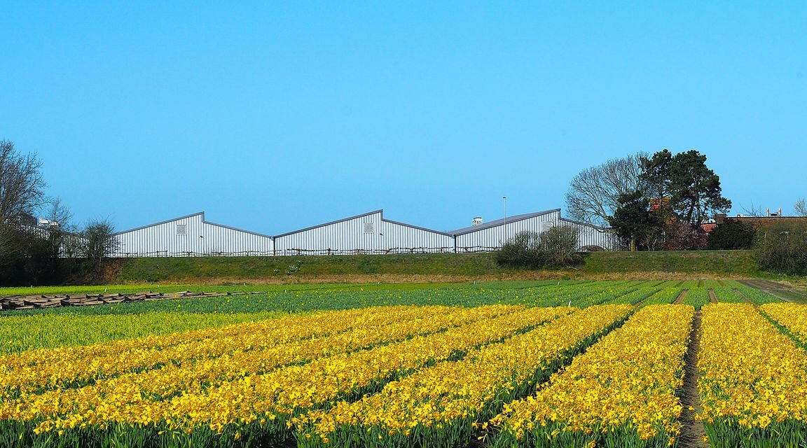 أيام مشمسة وحرارة عالية في الطريق وخاصة يومي الأربعاء والخميس