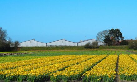 أيام مشمسة وحرارة عالية في الطريق وخاصة يومي الأربعاء والخميس