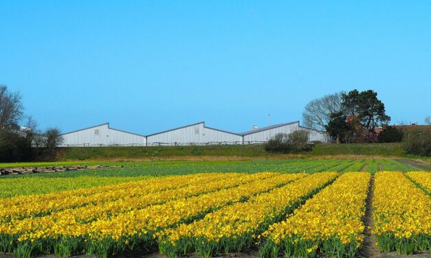 أيام مشمسة وحرارة عالية في الطريق وخاصة يومي الأربعاء والخميس