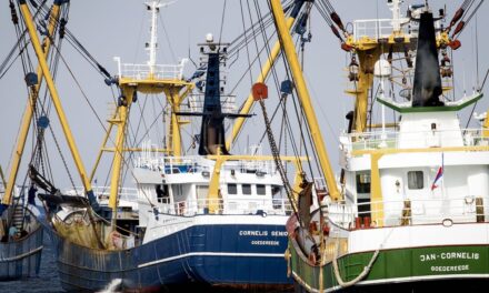 بعض الصيادين لم يعودوا يخرجون إلى البحر بسبب ارتفاع أسعار الوقود