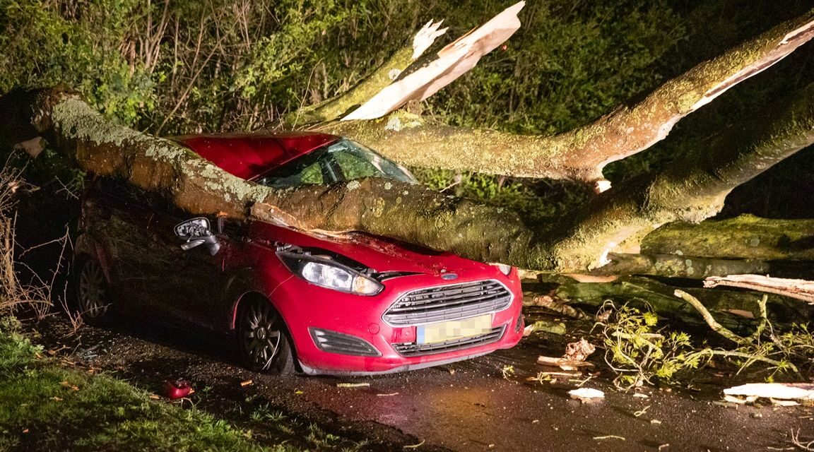 الرياح الشديدة تقتلع الأشجار وأسقف المنازل وتسبب أضراراً في اماكن متفرقة من البلاد