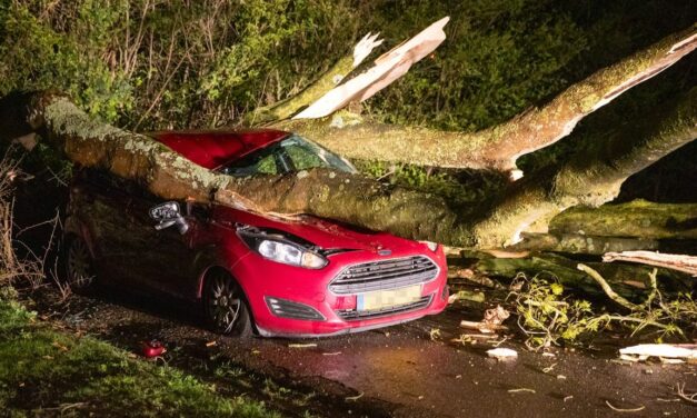 الرياح الشديدة تقتلع الأشجار وأسقف المنازل وتسبب أضراراً في اماكن متفرقة من البلاد