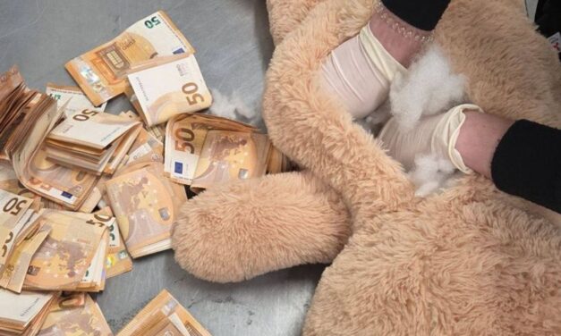 الشرطة تعثر على 50 ألف يورو نقداً داخل دمية دب