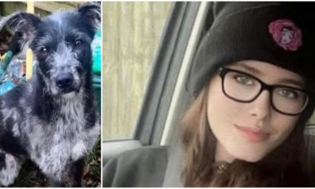 كلب يعض فتاة حتى الموت في بريطانيا والأب المفجوع: “ابنتي قتلت على يد فرد من عائلتي”