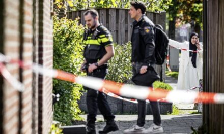 طعن الطفلة نور حتى الموت بمنزلها في فينلو وحسب الجيران تم إلقاء القبض على والدتها ووالدها