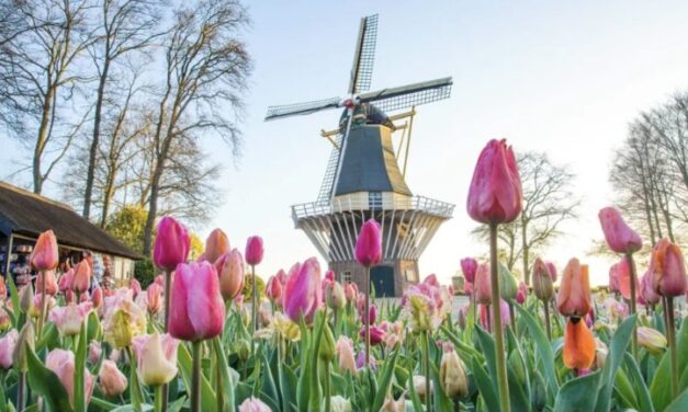 ستكون الأيام القادمة مشمسة و ربيعية بالكامل ولكن مع الكثير من الرياح