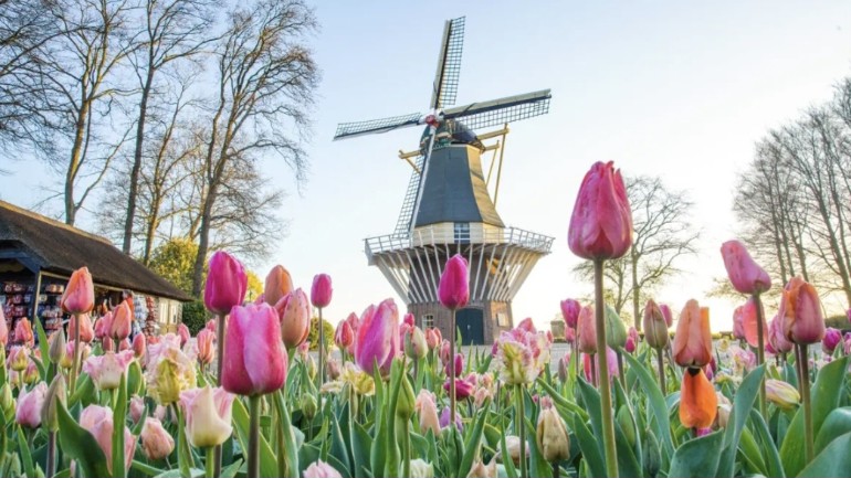 ستكون الأيام القادمة مشمسة و ربيعية بالكامل ولكن مع الكثير من الرياح