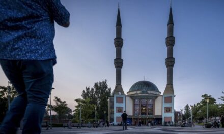 مجموعة من الأشخاص يقذفون مسجد في روتردام بزجاجات البيرة ويتبولون على المبنى