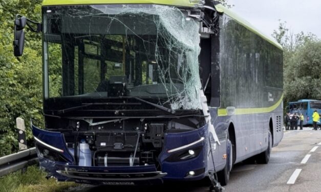 رحلة مدرسية تنتهي بمأساة في ألمانيا: وفاة طفل وإصابة العشرات بجروح في حادث تصادم