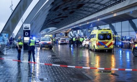أُصيب أربعة أشخاص بجروح في حادثة طعن في محطة أمستردام المركزية